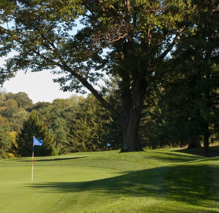 hole 8